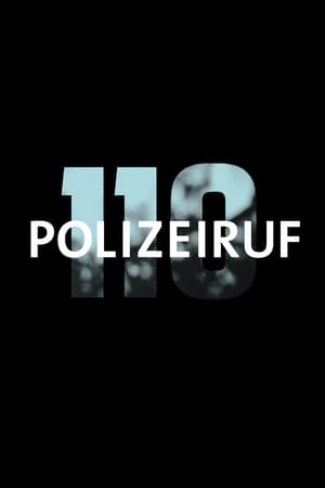 匪警110,Polizeiruf 110(1971电视剧集)