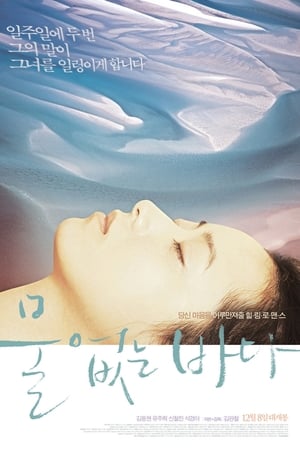 沒有水的大海