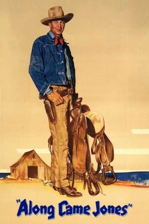 绿林豪侠,Along Came Jones(1945电影)