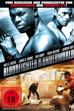 暗黑角斗场,Bloodfighter of the Underworld(2007电影)