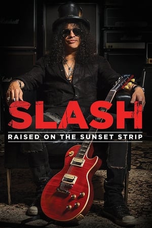 史莱许：一代摇滚吉他大师的崛起,Slash: Raised On the Sunset Strip(2014电影)