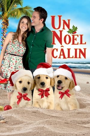 情定圣诞,3 Holiday Tails(2011电影)