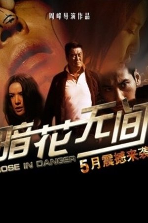暗花无间