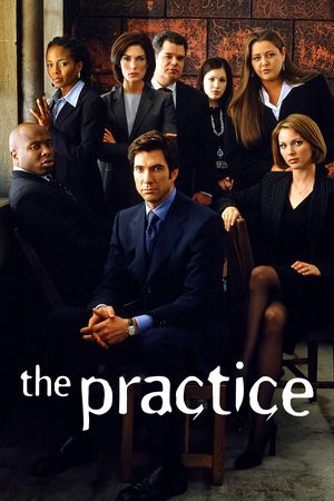 律师本色,The Practice(1997电视剧集)