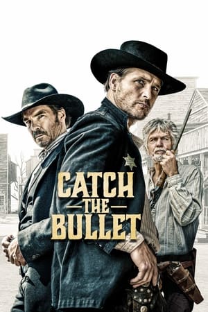 接住子弹,Catch the Bullet(2021电影)