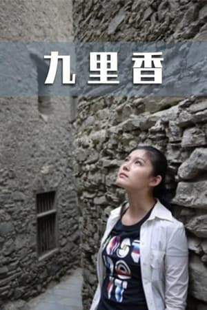 九里香(2011电影)