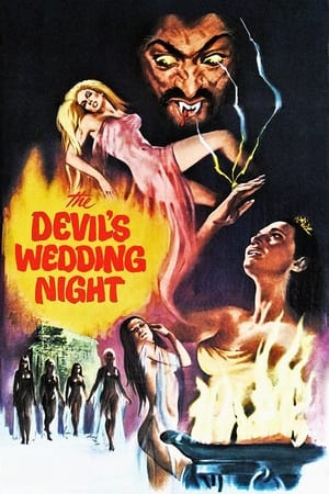 恶魔婚礼之夜,Il plenilunio delle vergini(1973电影)