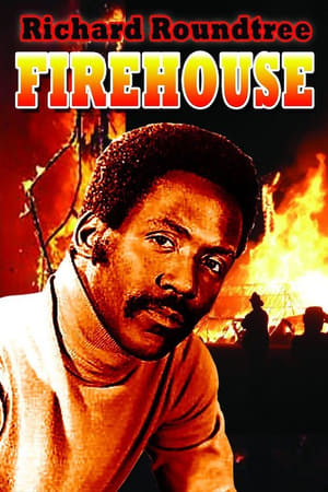 Firehouse电影海报