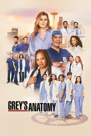 实习医生格蕾,Grey's Anatomy(2005电视剧集)
