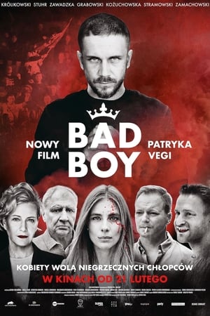 坏小子,Bad Boy(2020电影)