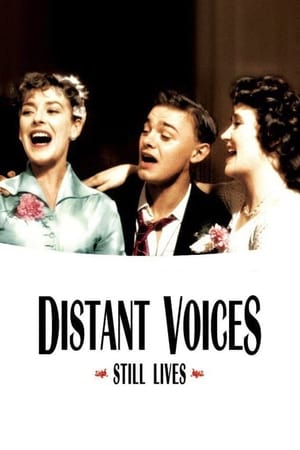远方的声音,Distant Voices, Still Lives(1988电影)