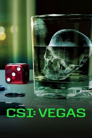 犯罪现场调查：维加斯,CSI: Vegas(2021电视剧集)