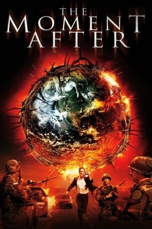 The Moment After海报