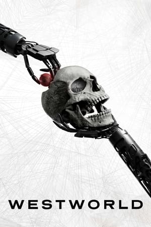 西部世界,Westworld(2016电视剧集)