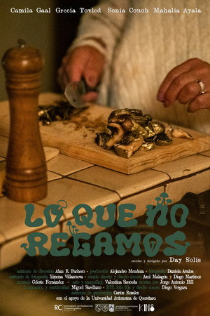 Lo Que No Regamos海报