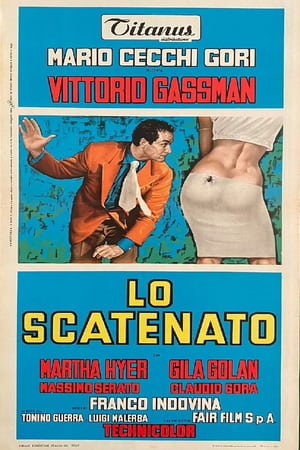 翻天覆地,Lo scatenato(1967电影)