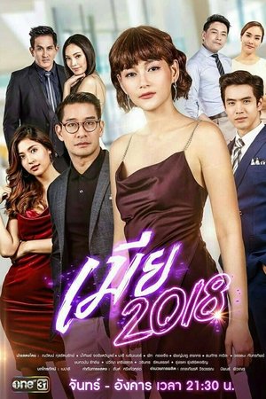 妻不择食,เมีย 2018(2018电视剧集)
