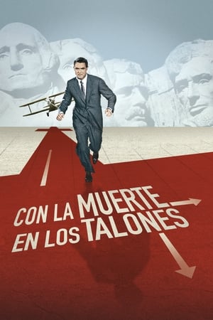 西北偏北,North by Northwest(1959电影)