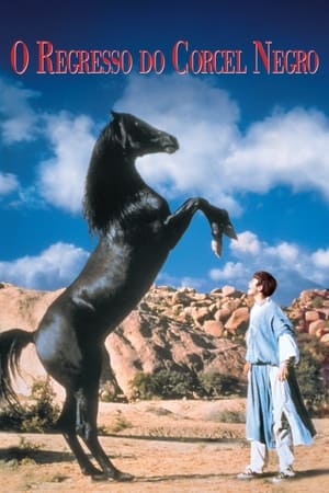 黑神驹2,The Black Stallion Returns(1983电影)