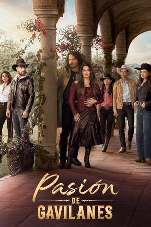 隐秘的激情,Pasión de gavilanes(2003电视剧集)