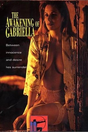 激情加布里拉,The Awakening of <em>Gabriella</em>(1999电影)