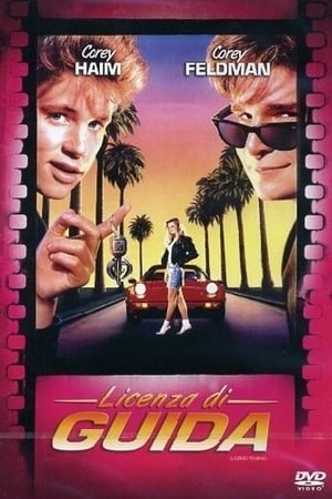 驾驶执照,License to Drive(1988电影)