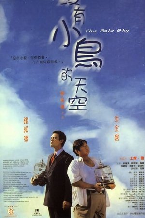 没有小鸟的天空