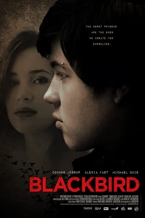 黑鸦的救赎,Blackbird(2012电影)
