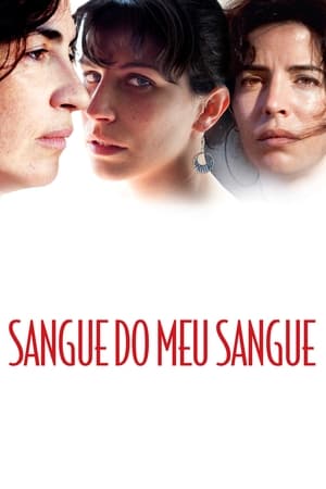 血亲之亲,Sangue do Meu Sangue(2011电影)