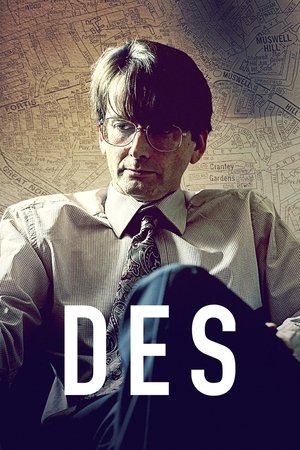 丹斯,Des(2020电视剧集)