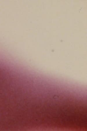 Arabic Numeral Series 17电影海报