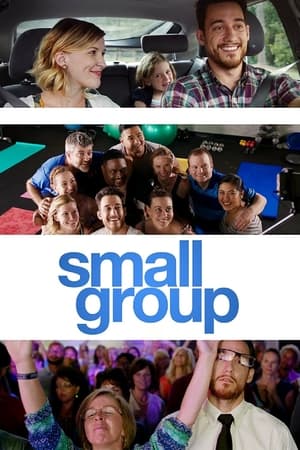Small Group电影海报