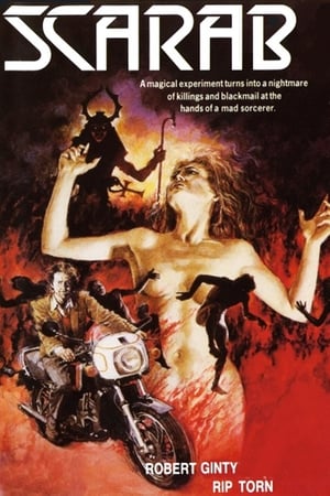 死亡甲虫,Scarab(1984电影)