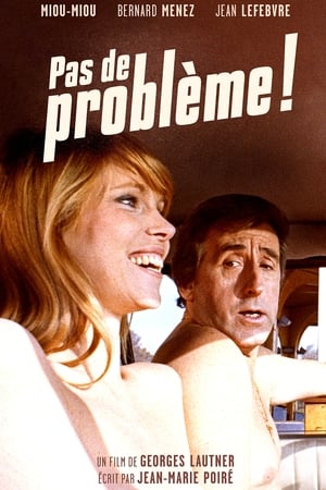 没问题,Pas de problème!(1975电影)