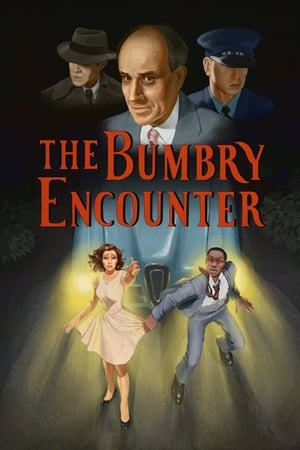 The Bumbry Encounter电影海报
