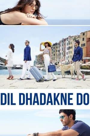心跳零距离,दिल धड़कने दो(2015电影)