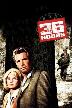 三十六小时谍报战,36 Hours(1964电影)