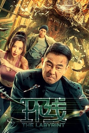 环线(2022电影)