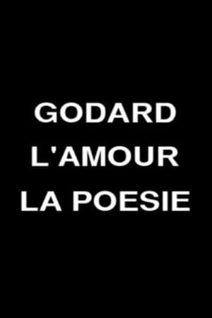 戈达尔，爱情与诗歌,Godard, l'amour, la poésie(2007电影)