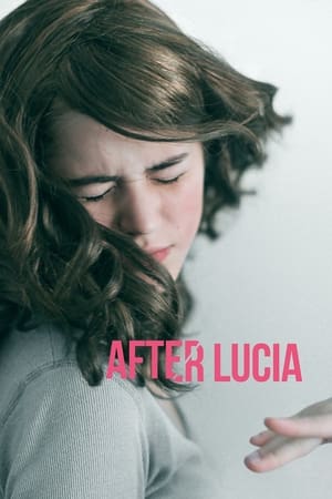 露西亚之后,Después de Lucía(2012电影)