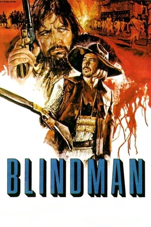 独行盲杀手,Blindman(1971电影)