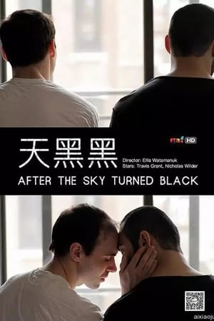 天黑黑,After the <em>Sky</em> Turned Black(2012电影)