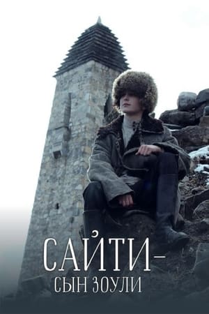 Сайти — сын Зоули电影海报