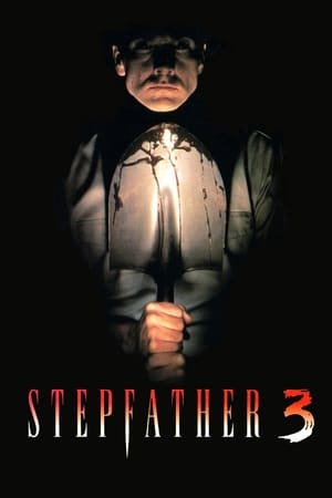 继父3,Stepfather 3(1992电影)