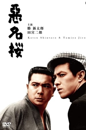 恶名樱