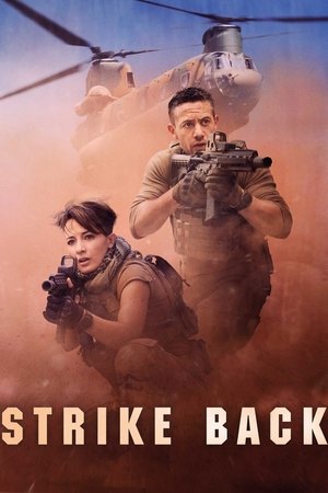 反击,Strike Back(2010电视剧集)