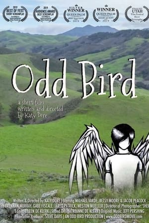 Odd Bird电影海报