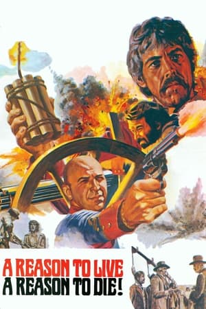 八条好汉,Una ragione per vivere e una per morire(1972电影)