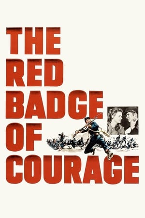 铁骑雄师,The Red Badge of Courage(1951电影)