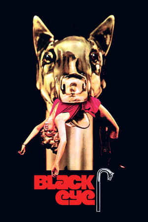 勇探雪沉冤,Black Eye(1974电影)